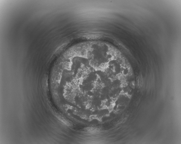 X0000066970733200604142140