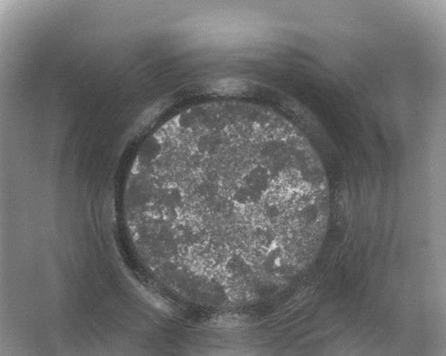 X0000066970734200604142140