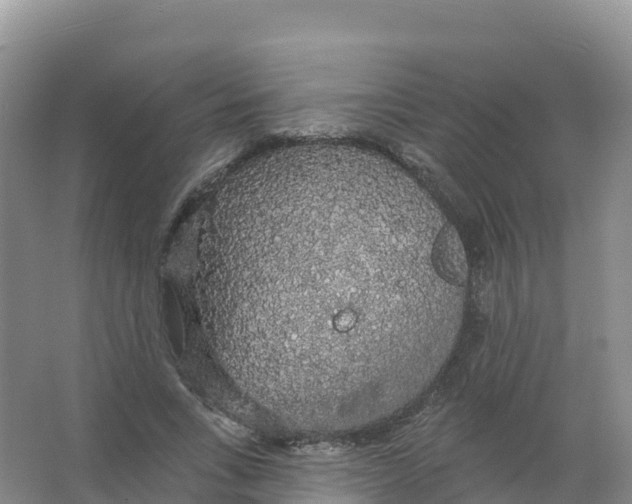 X0000066970735200604142140