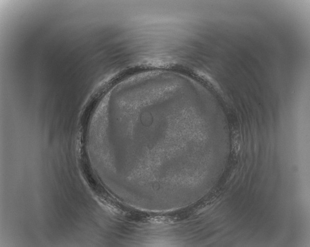 X0000066970736200604142140