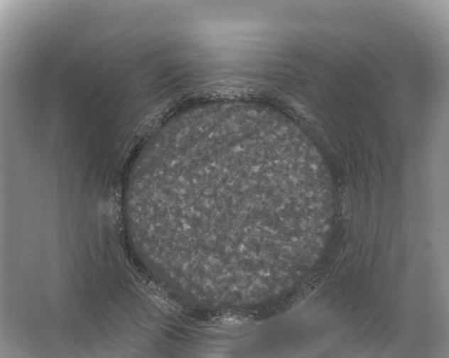 X0000066970737200604142140