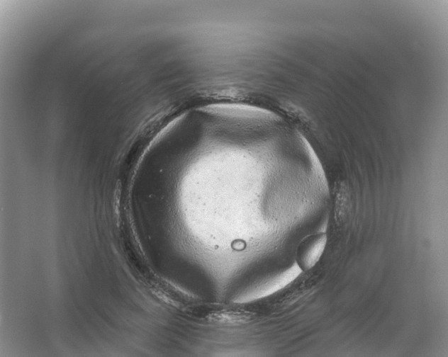 X0000066970739200604142140