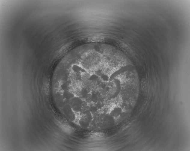 X0000066970741200604142140