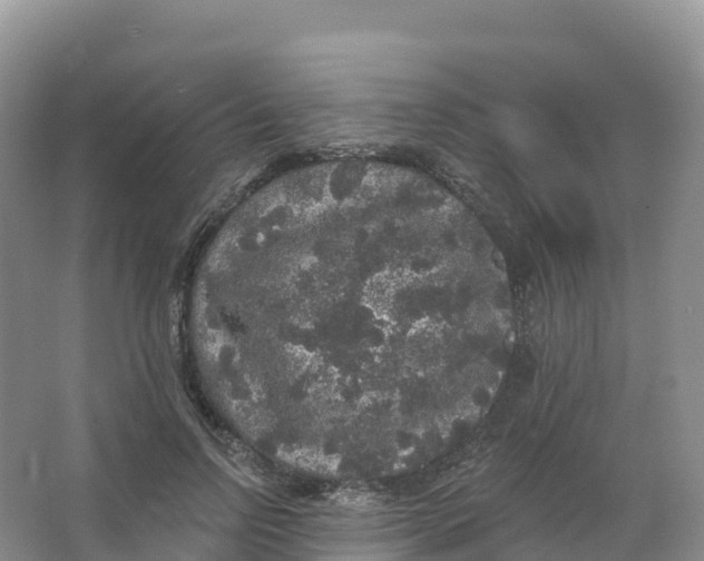 X0000066970742200604142140