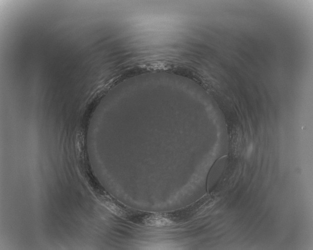 X0000066970747200604142140