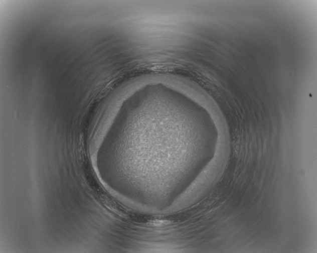 X0000066970748200604142140