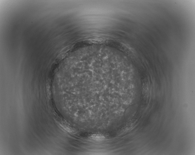 X0000066970749200604142140