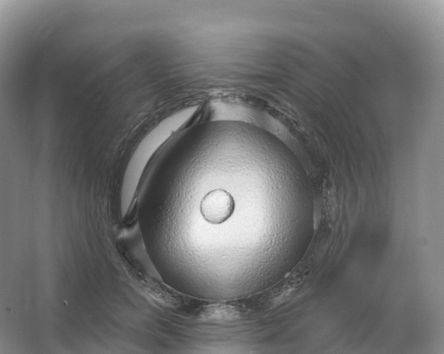 X0000066970750200604142140