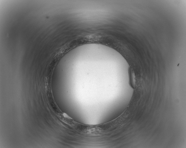 X0000066970752200604142140