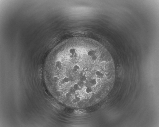 X0000066970753200604142140