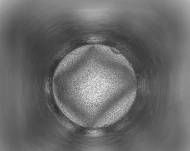 X0000066970755200604142140