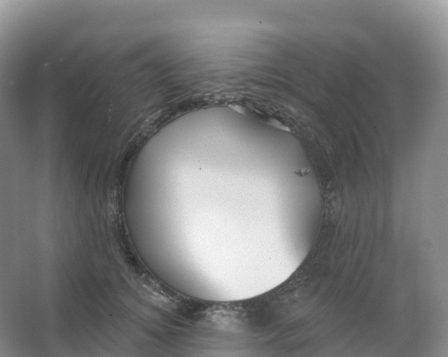 X0000066970756200604142140