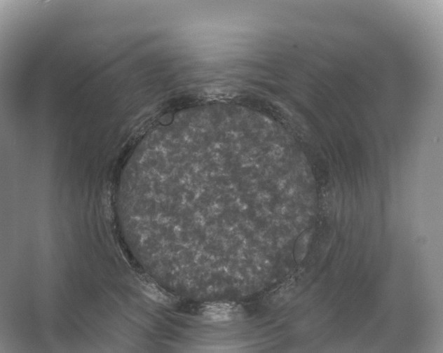 X0000066970757200604142140