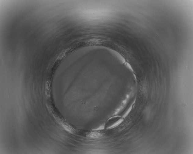 X0000066970759200604142140