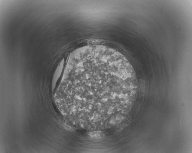 X0000066970761200604142140