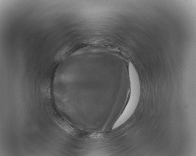 X0000066970762200604142141