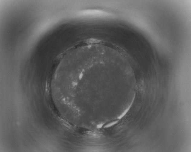 X0000066970763200604142141