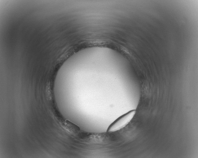 X0000066970764200604142141