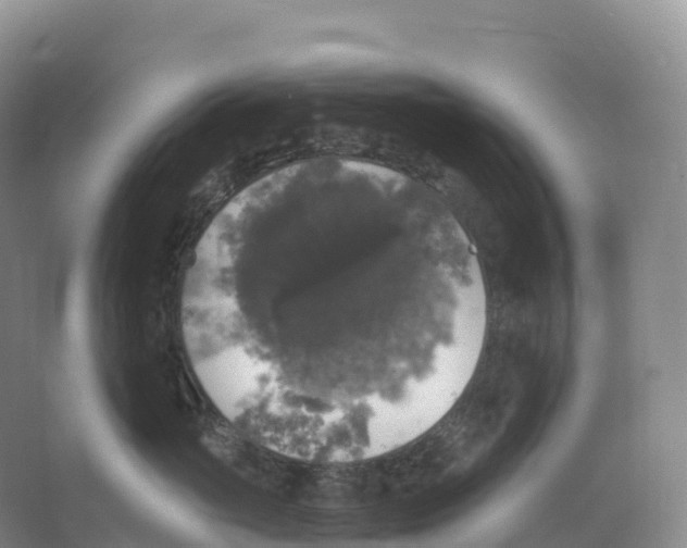 X0000066970765200604142141