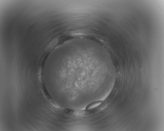 X0000066970767200604142141