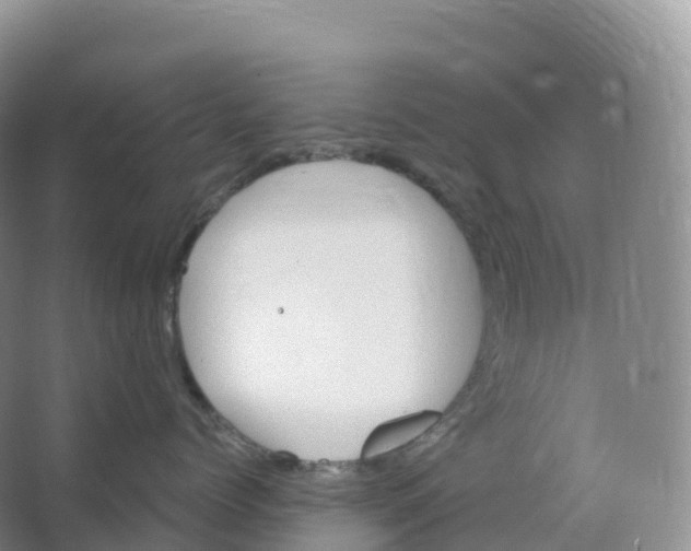 X0000066970768200604142141