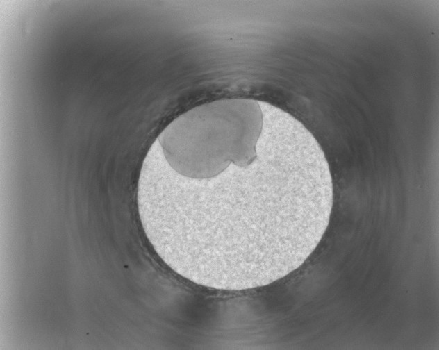 X0000066970769200604142140