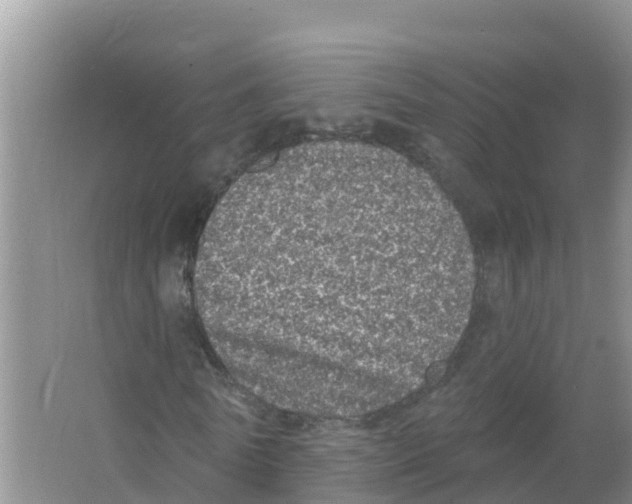 X0000066970770200604142140