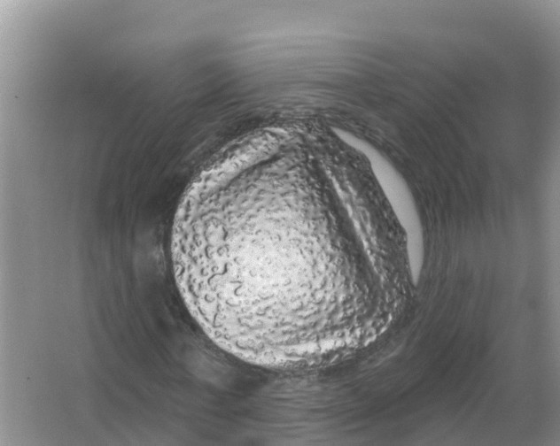 X0000066970771200604142140