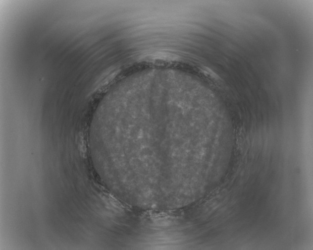 X0000066970774200604142140