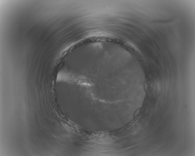 X0000066970775200604142140