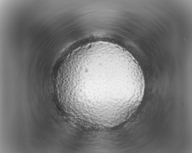 X0000066970776200604142140