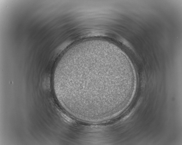 X0000066970777200604142140