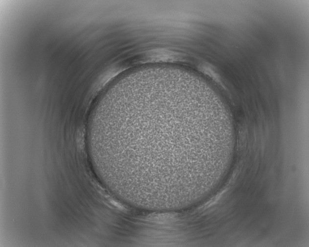 X0000066970778200604142140