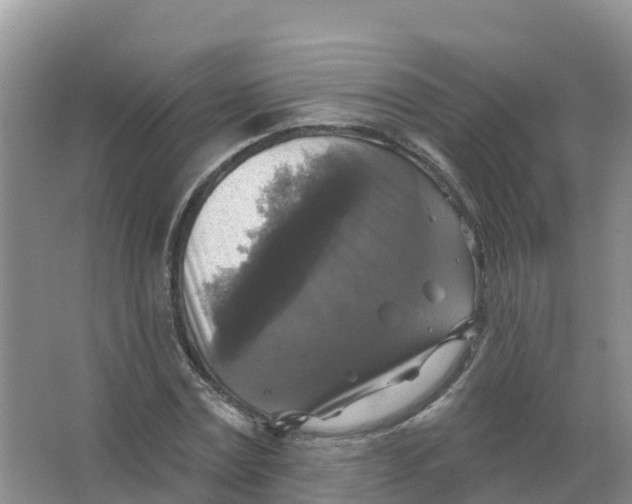 X0000066970779200604142140