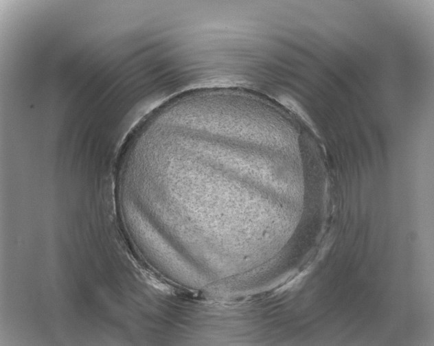 X0000066970781200604142140