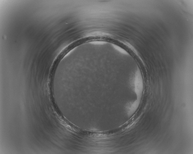 X0000066970783200604142140