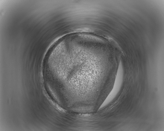 X0000066970784200604142140