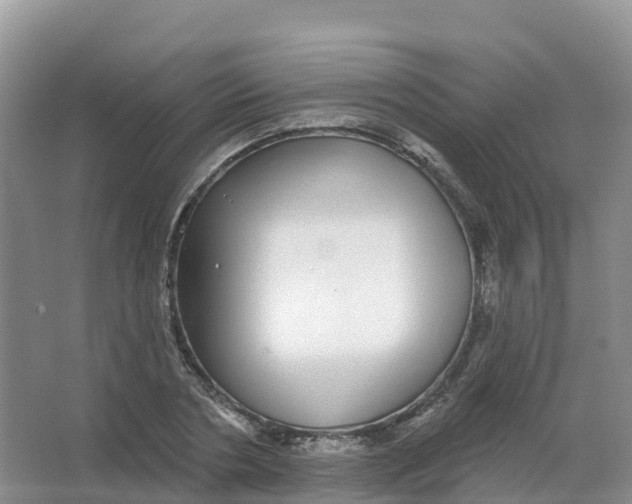 X0000066970786200604142140