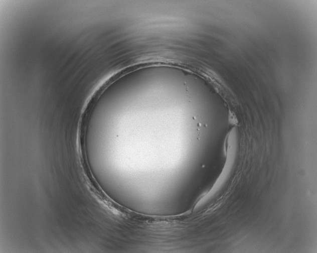 X0000066970788200604142139