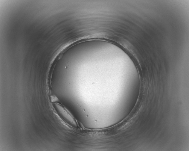 X0000066970789200604142139