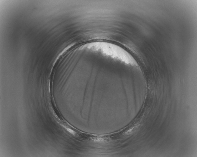 X0000066970790200604142139