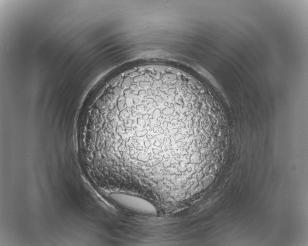 X0000066970791200604142139