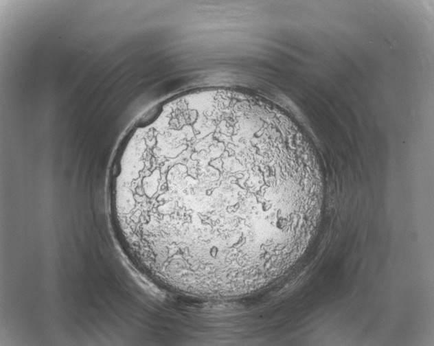 X0000066970795200604142139