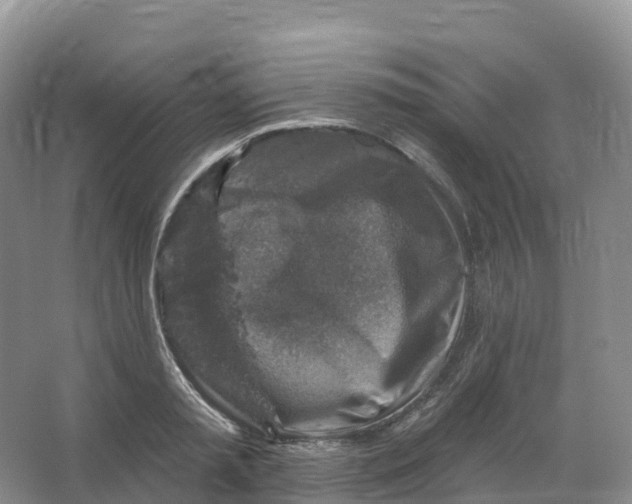 X0000066970797200604142139