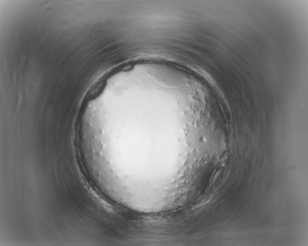 X0000066970799200604142139