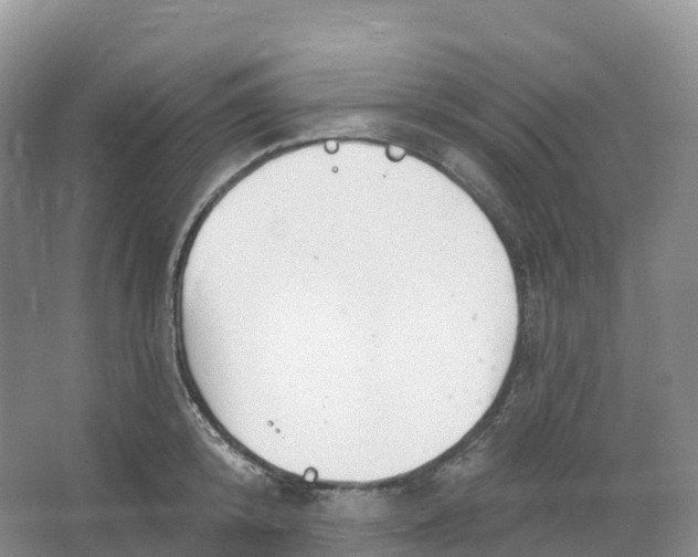 X0000066970800200604142139