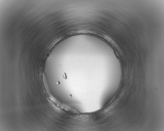 X0000066970801200604142139