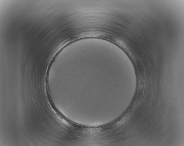 X0000066970802200604142139