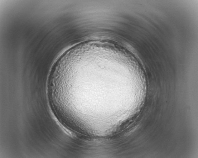 X0000066970803200604142139