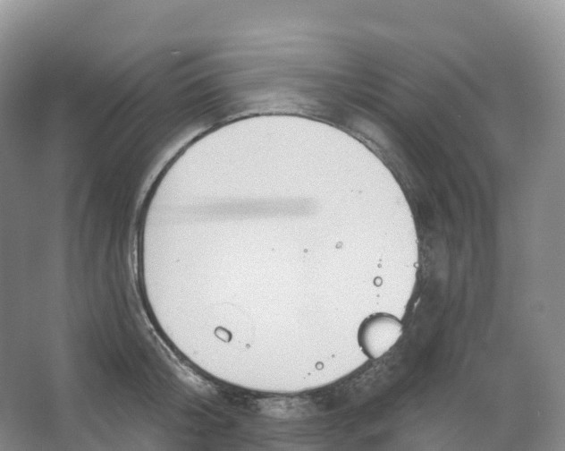 X0000066970804200604142139